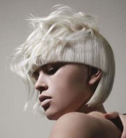 /album/avantgarde/white-avant-garde-hairstyle-jpg/